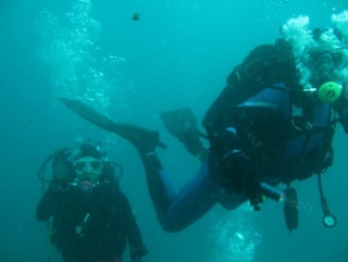 Various types of courses 